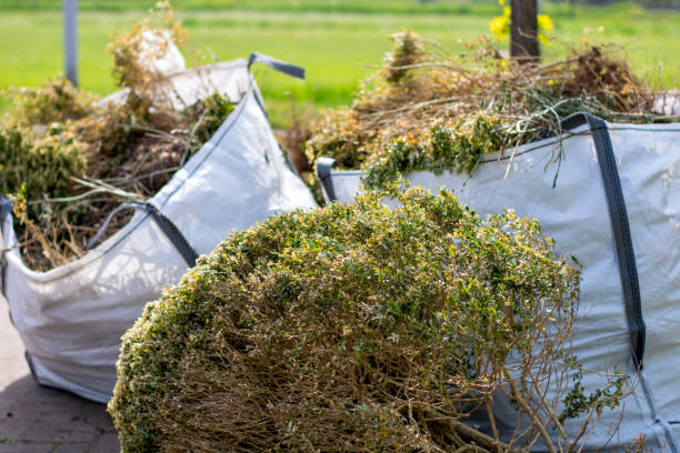 Best Household Junk Removal  in Shark River Hills, NJ